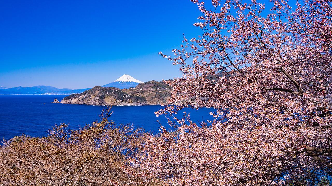 Ooedo Onsen Monogatari Toi Marine Hotel Izu  Dış mekan fotoğraf